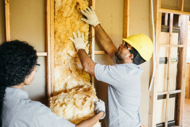 Eco-Friendly or Green Insulation Solutions in Oakland, MD